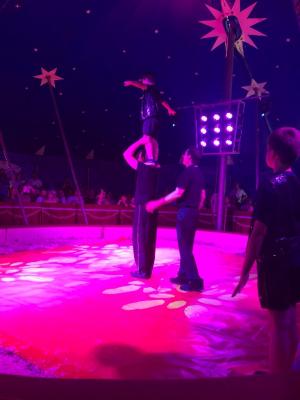 Foto des Albums: Vorstellungen Zirkus