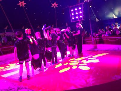 Foto des Albums: Vorstellungen Zirkus