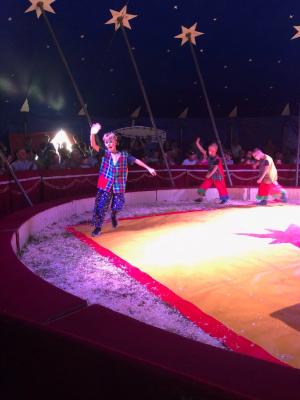 Foto des Albums: Vorstellungen Zirkus