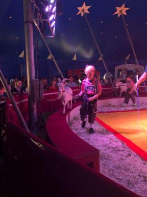 Foto des Albums: Vorstellungen Zirkus