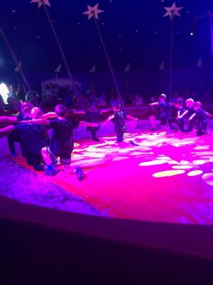Foto des Albums: Vorstellungen Zirkus