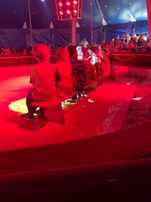 Foto des Albums: Vorstellungen Zirkus