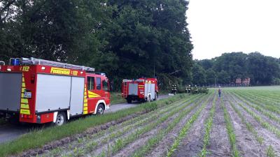 Foto des Albums: Baum auf Straße in Dalum