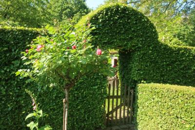 Foto des Albums: 2019 - Ausflug Garten und Maastricht