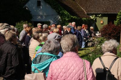Foto des Albums: 2019 - Ausflug Garten und Maastricht