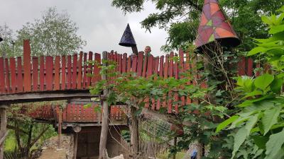 Foto des Albums: Schulausflug zur Kulturinsel Einsiedel