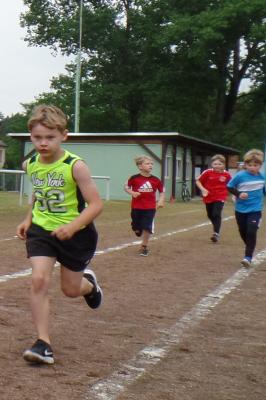 Foto des Albums: Sportfest (07.06.2019)