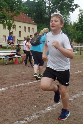 Foto des Albums: Sportfest (07.06.2019)