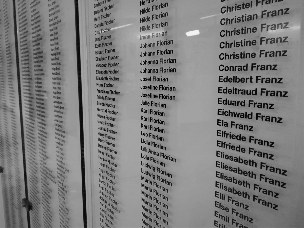 Bild der Galerie