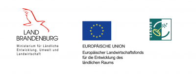 Foto des Albums: Pritzwalker Jahn-Grundschule erhält neue Fenster