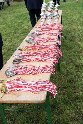 Foto des Albums: Kinder und Jugendliche wetteiferten beim Stadt- und Kreisjugendfeuerwehrtag in Buchholz