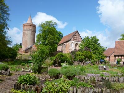 Kr&auml;utergarten an der H&ouml;henburg Stargard  (Bild vergr&ouml;&szlig;ern)