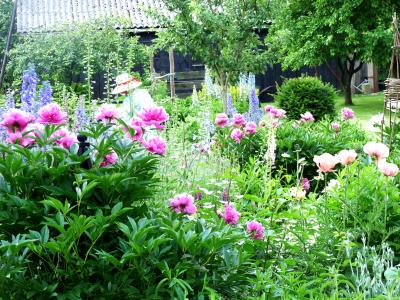Naturgarten zum Entdecken von Fam. Schuhmann in Benthen  (Bild vergr&ouml;&szlig;ern)