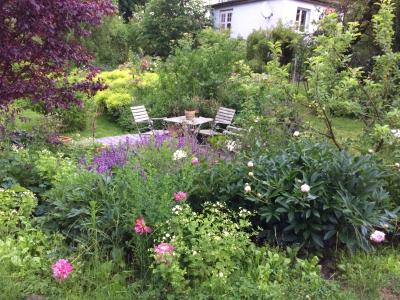Naturgarten "Alte Schule Rheinberg" von Nicole Lasch  (Bild vergr&ouml;&szlig;ern)