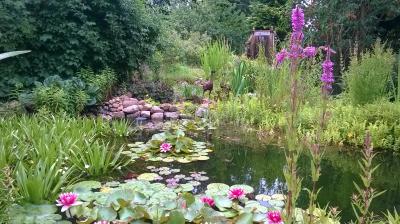 Rancho Finderrosa - der Bunte Garten von Frau Finder in Zachun  (Bild vergr&ouml;&szlig;ern)