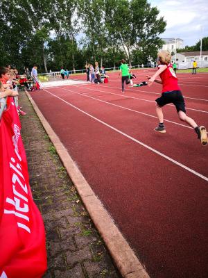 Foto des Albums: Kreis-Schulmeisterschaften Leichtathletik