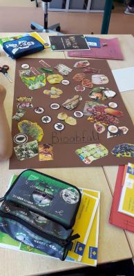 Foto des Albums: Müllprojekt