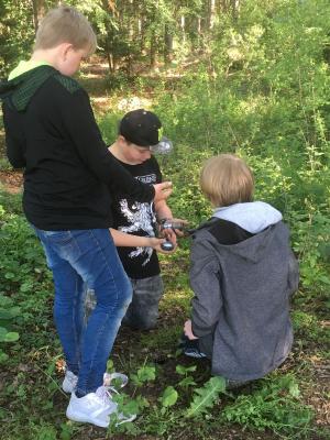 Foto des Albums: Unterricht im Wald – NAWITAG Klasse 7 (04. 06. 2019)