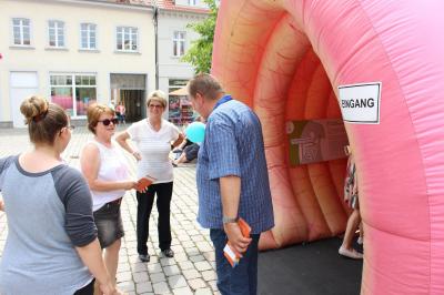 Foto des Albums: Aktionstag „Laufend vorsorgen – Brandenburg gegen Darmkrebs“ (19.06.2019)