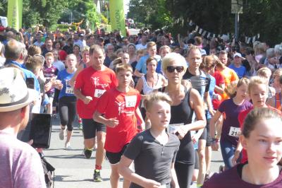 Foto des Albums: 6. "Sternenlauf" in Seester