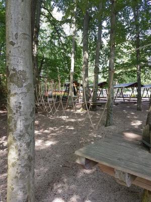 Foto des Albums: Limbo Camp Schulfahrt