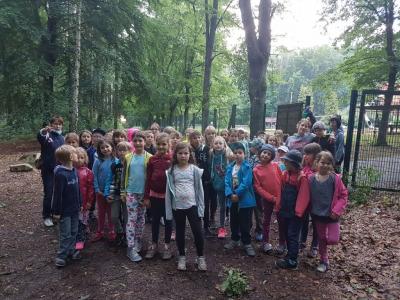Foto des Albums: Limbo Camp Schulfahrt