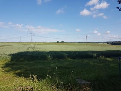 Foto des Albums: Limbo Camp Schulfahrt