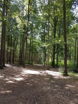 Foto des Albums: Limbo Camp Schulfahrt