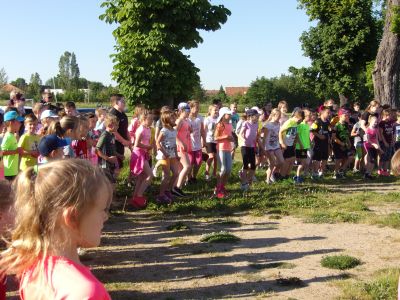 Foto des Albums: Sportfest 2019