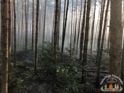 Foto des Albums: Einsatz 1370-B-Wald-Nassenheide