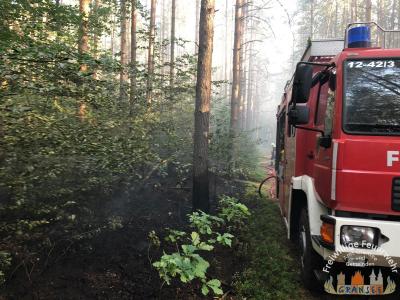 Foto des Albums: Einsatz 1370-B-Wald-Nassenheide