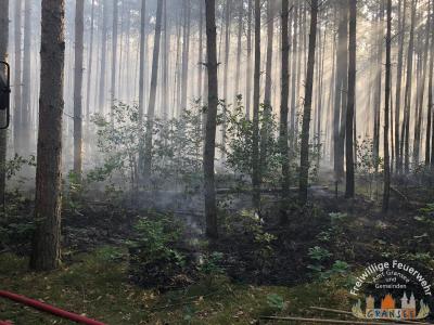Foto des Albums: Einsatz 1370-B-Wald-Nassenheide