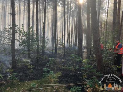 Foto des Albums: Einsatz 1370-B-Wald-Nassenheide