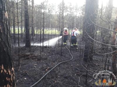 Foto des Albums: Einsatz 1378-B-Wald-Fürstenberg Ri Neustrelitz