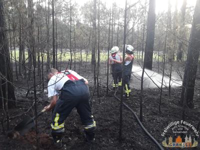 Foto des Albums: Einsatz 1378-B-Wald-Fürstenberg Ri Neustrelitz