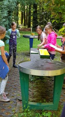 Foto des Albums: Limbo Camp Fotoalbum 2