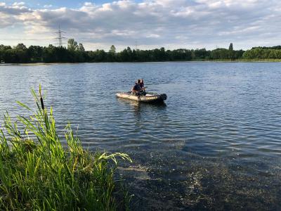 Foto des Albums: Schwan in Not - Launsbacher See (02. 07. 2019)