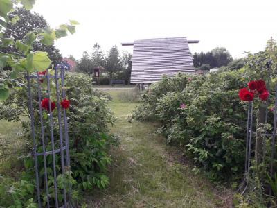 Foto des Albums: Straßenfest in Zahren
