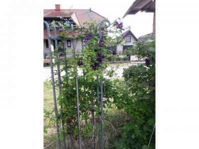 Foto des Albums: Straßenfest in Zahren