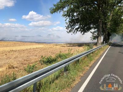 Foto des Albums: Einsatz 1439-B-Fläche-OV B96 Abzw. Großmutz Ri Gransee