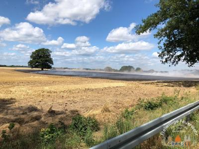Foto des Albums: Einsatz 1439-B-Fläche-OV B96 Abzw. Großmutz Ri Gransee