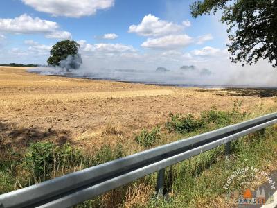 Foto des Albums: Einsatz 1439-B-Fläche-OV B96 Abzw. Großmutz Ri Gransee
