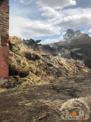 Foto des Albums: Einsatz2 1453-B-Gebäude-Groß-Klein-Mutz, Scheunenbrand
