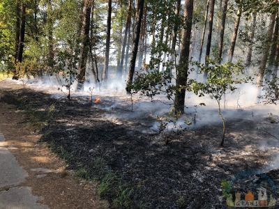 Foto des Albums: Einsatz 1426 B-Wald-Dannenwalde