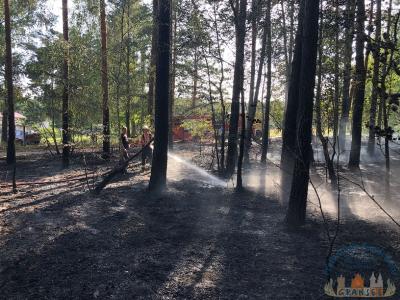 Foto des Albums: Einsatz 1426 B-Wald-Dannenwalde