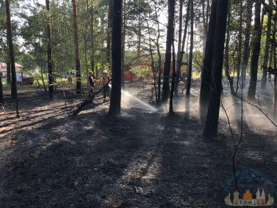 Foto des Albums: Einsatz 1426 B-Wald-Dannenwalde