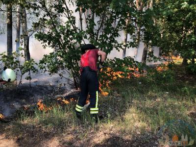 Foto des Albums: Einsatz 1426 B-Wald-Dannenwalde