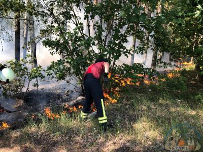 Foto des Albums: Einsatz 1426 B-Wald-Dannenwalde