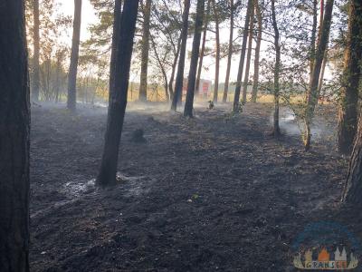 Foto des Albums: Einsatz 1426 B-Wald-Dannenwalde