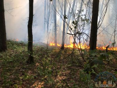 Foto des Albums: Einsatz 1426 B-Wald-Dannenwalde